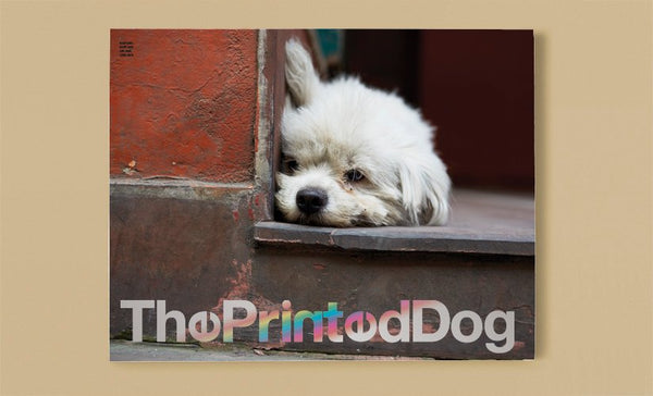 THE PRINTED DOG 1
