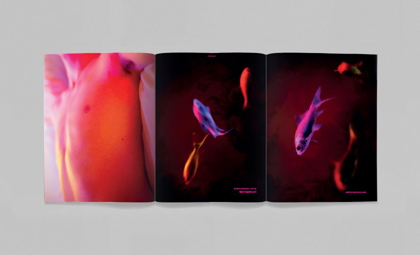 LAST COPY! FANZINE 137 21.137 – byluisvenegas